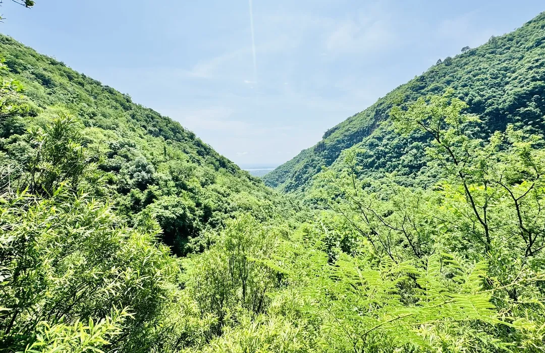 Maragalla Hills Trail 5