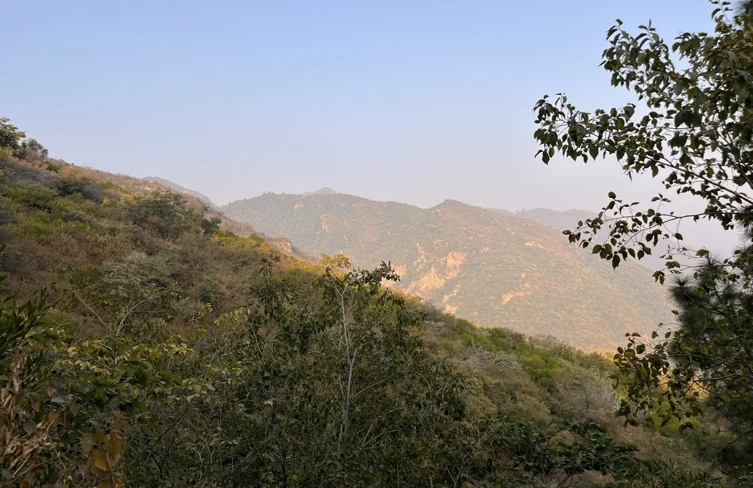 Maragalla Hills Trail 5